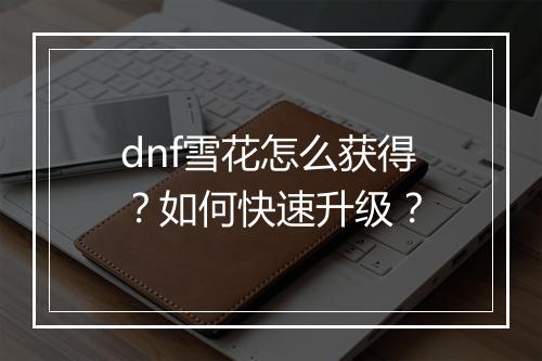dnf雪花怎么获得?如何快速升级?