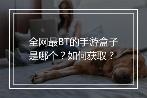 全网最BT的手游盒子是哪个?如何获取?