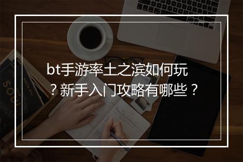 bt手游率土之滨如何玩？新手入门攻略有哪些？