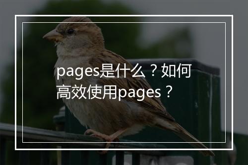 pages是什么?如何高效使用pages?
