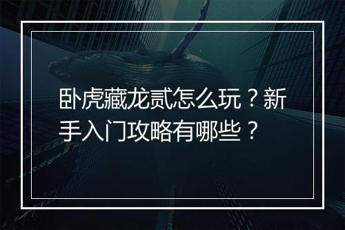 卧虎藏龙贰怎么玩?新手入门攻略有哪些?