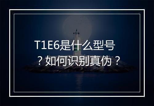T1E6是什么型号？如何识别真伪？