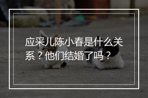 应采儿陈小春是什么关系？他们结婚了吗？
