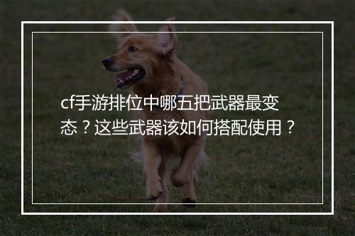cf手游排位中哪五把武器最变态?这些武器该如何搭配使用?