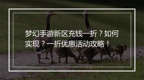梦幻手游新区充钱一折？如何实现？一折优惠活动攻略！