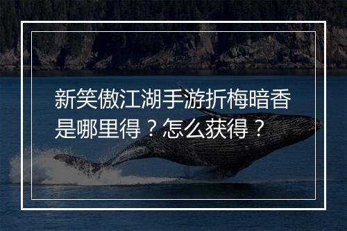 新笑傲江湖手游折梅暗香是哪里得?怎么获得?