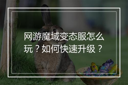 网游魔域变态服怎么玩?如何快速升级?