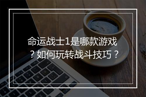 命运战士1是哪款游戏？如何玩转战斗技巧？