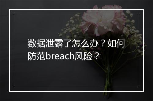 数据泄露了怎么办？如何防范breach风险？