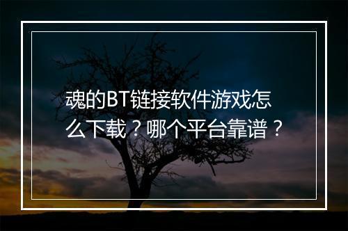 魂的BT链接软件游戏怎么下载?哪个平台靠谱?