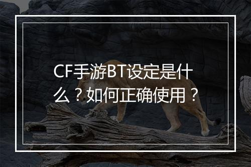 CF手游BT设定是什么？如何正确使用？