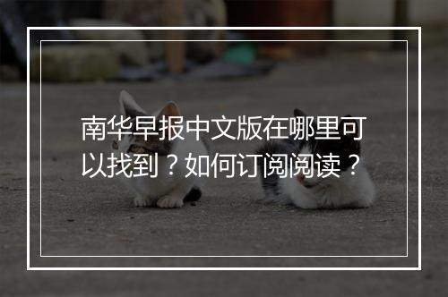 南华早报中文版在哪里可以找到？如何订阅阅读？