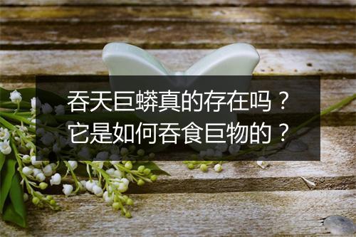 吞天巨蟒真的存在吗?它是如何吞食巨物的?