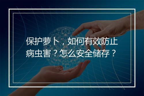 保护萝卜，如何有效防止病虫害？怎么安全储存？
