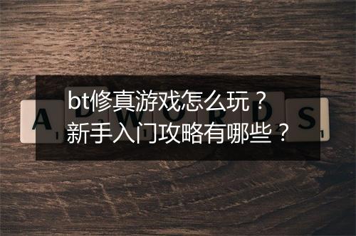 bt修真游戏怎么玩？新手入门攻略有哪些？