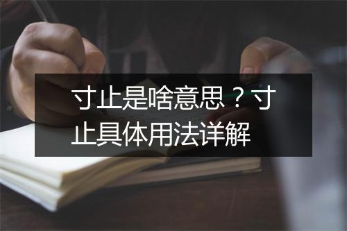 寸止是啥意思？寸止具体用法详解
