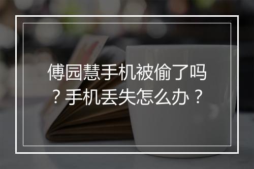 傅园慧手机被偷了吗？手机丢失怎么办？