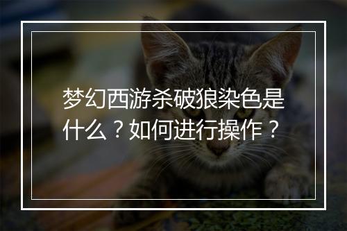 梦幻西游杀破狼染色是什么？如何进行操作？