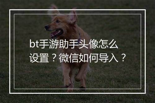 bt手游助手头像怎么设置？微信如何导入？