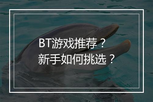 BT游戏推荐？新手如何挑选？