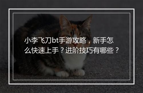 小李飞刀bt手游攻略，新手怎么快速上手？进阶技巧有哪些？