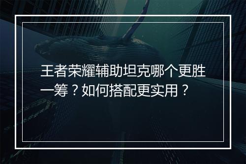 王者荣耀辅助坦克哪个更胜一筹？如何搭配更实用？