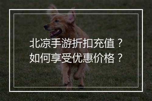北凉手游折扣充值？如何享受优惠价格？