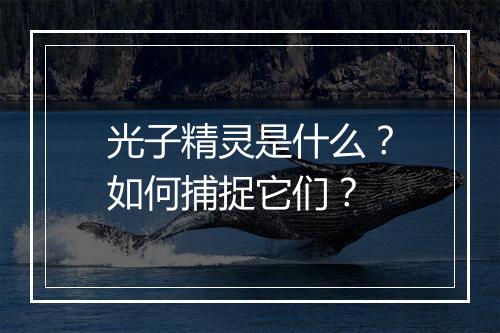 光子精灵是什么？如何捕捉它们？