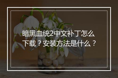 暗黑血统2中文补丁怎么下载？安装方法是什么？