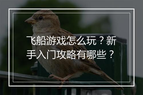 飞船游戏怎么玩?新手入门攻略有哪些?