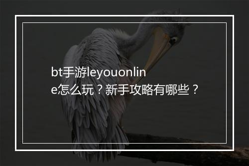 bt手游leyouonline怎么玩？新手攻略有哪些？