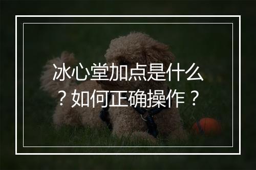 冰心堂加点是什么？如何正确操作？