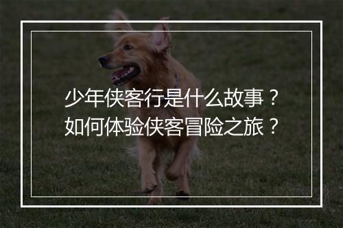 少年侠客行是什么故事?如何体验侠客冒险之旅?