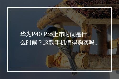 华为P40 Pro上市时间是什么时候？这款手机值得购买吗？