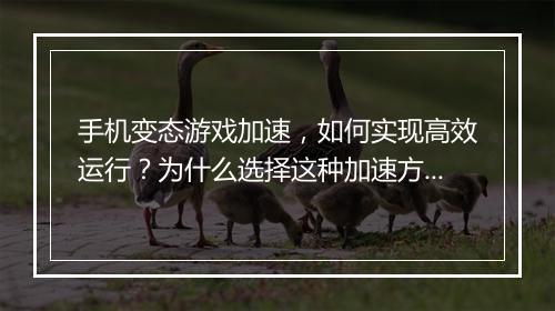 手机变态游戏加速，如何实现高效运行？为什么选择这种加速方式？