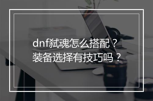 dnf弑魂怎么搭配？装备选择有技巧吗？