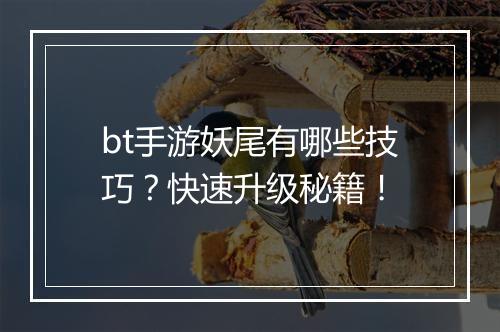 bt手游妖尾有哪些技巧？快速升级秘籍！