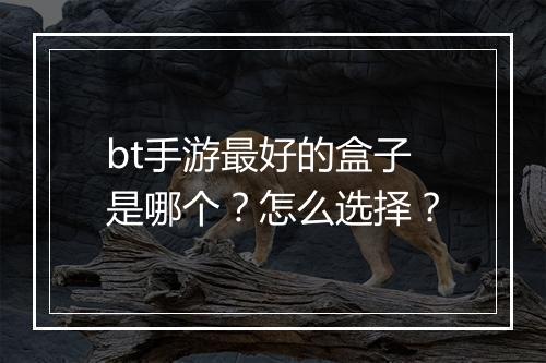 bt手游最好的盒子是哪个？怎么选择？