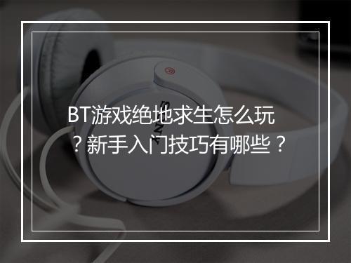 BT游戏绝地求生怎么玩？新手入门技巧有哪些？