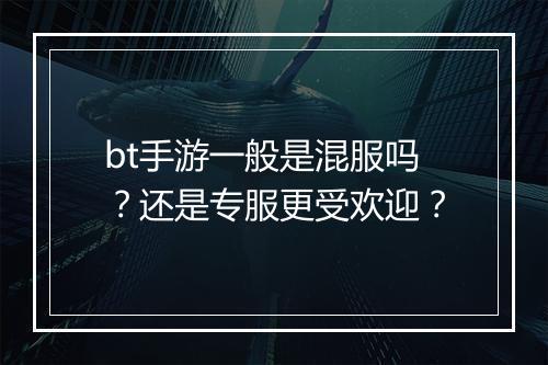 bt手游一般是混服吗？还是专服更受欢迎？