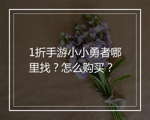 1折手游小小勇者哪里找？怎么购买？