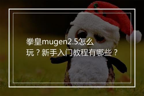 拳皇mugen2.5怎么玩?新手入门教程有哪些?