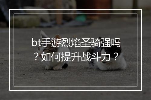 bt手游烈焰圣骑强吗?如何提升战斗力?