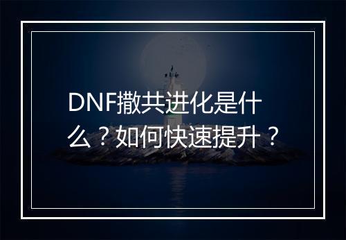 DNF撒共进化是什么？如何快速提升？