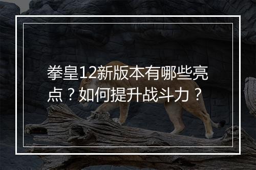拳皇12新版本有哪些亮点？如何提升战斗力？