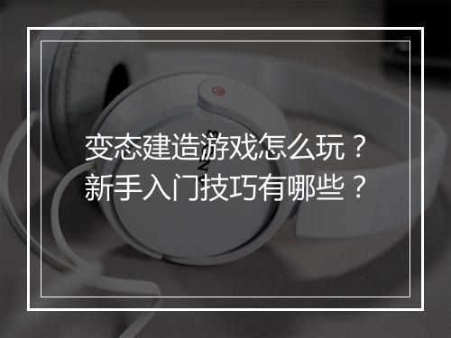 变态建造游戏怎么玩？新手入门技巧有哪些？