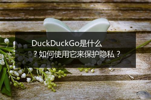 DuckDuckGo是什么？如何使用它来保护隐私？