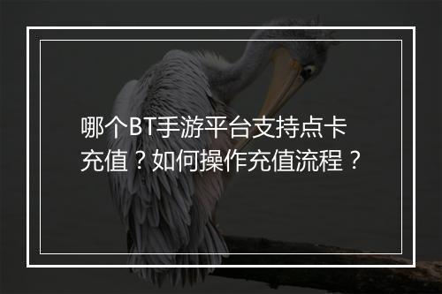 哪个BT手游平台支持点卡充值?如何操作充值流程?