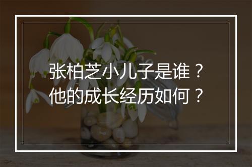 张柏芝小儿子是谁？他的成长经历如何？