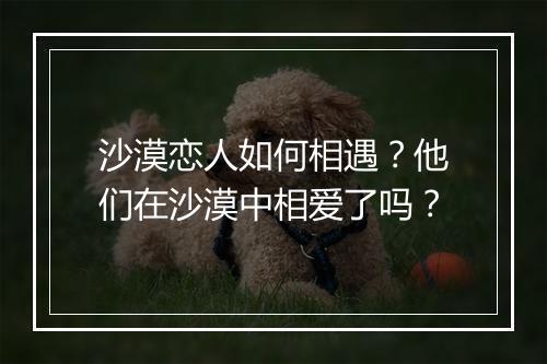 沙漠恋人如何相遇？他们在沙漠中相爱了吗？